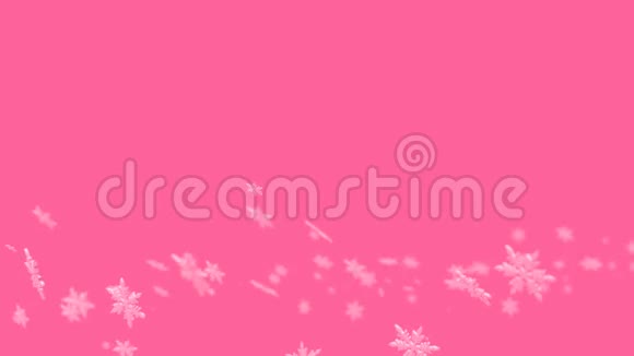 在粉红色的背景上飞舞着模糊的雪花视频的预览图