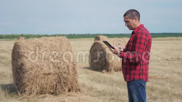 智慧农业理念一名农民工人在数字平板电脑上的田野里研究干草堆慢速视频视频的预览图
