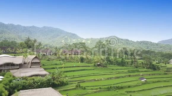 从无人驾驶飞机上看到山和农民住宅的水稻梯田印度尼西亚巴厘视频的预览图