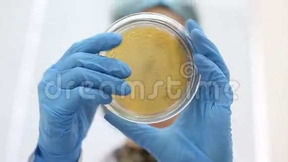微生物实验室工作培养皿视频的预览图
