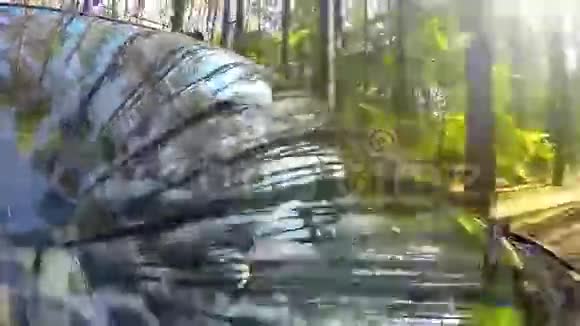 开着一辆车在森林里司机视频的预览图