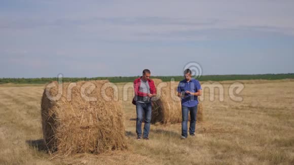 团队农业智能生活方式农业理念两个男的农民工人走在田野上的草堆上视频的预览图