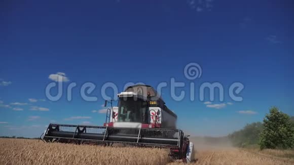 联合收割机收割小麦慢动作生活方式视频农业收获概念田间联合收割视频的预览图