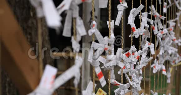 东京奥米亚哈奇曼神社的光环视频的预览图