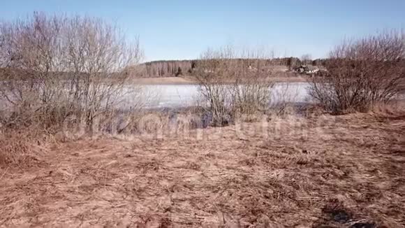 舍维诺湖的春天景观视频的预览图