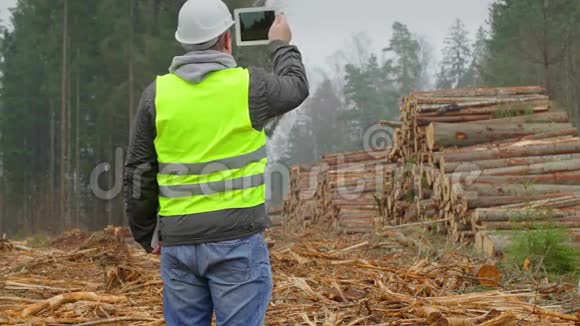 森林官员用平板电脑拍摄成堆的原木视频的预览图