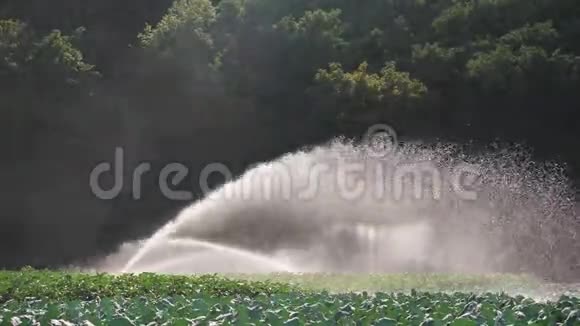 灌溉蔬菜种植洒水车灌溉蔬菜作物视频的预览图