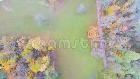 碧波湖畔美丽的空中秋景视频的预览图