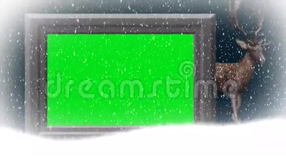 圣诞节与动画驯鹿除了绿色屏幕视频的预览图