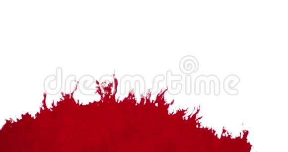 抽象的红色血墨水彩粉溅在白色背景危险的恐怖或医疗保健视频的预览图