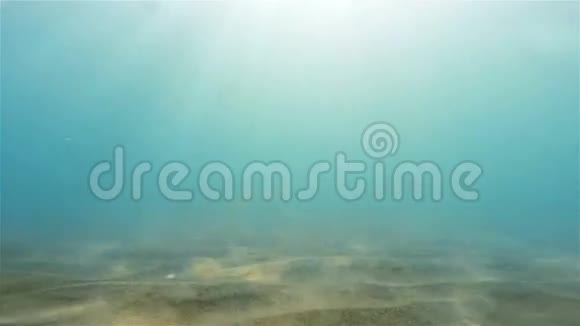 水下背景视频的预览图