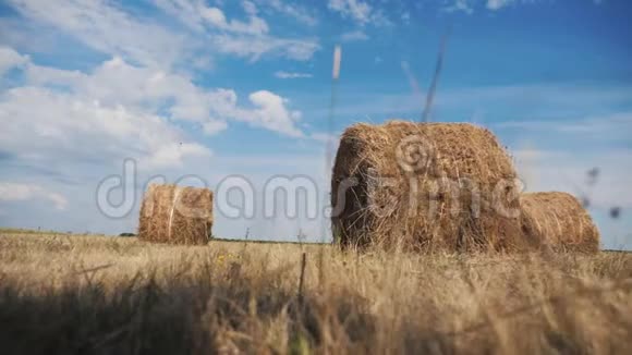 农业养殖概念慢动作视频在美丽的蓝色多云生活方式天空下麦田上的干草堆视频的预览图