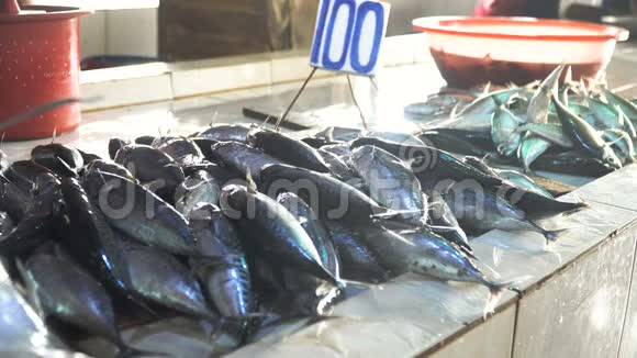 亚洲市场的鱼视频的预览图