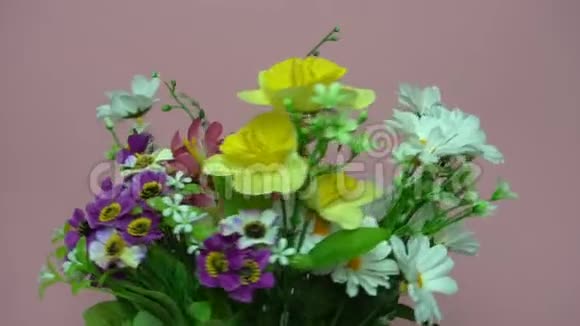 新鲜的春花视频的预览图