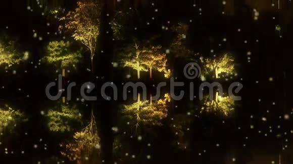 树林在平静的湖水中倒影如镜在漆黑的黄昏夜里冬雪视频的预览图
