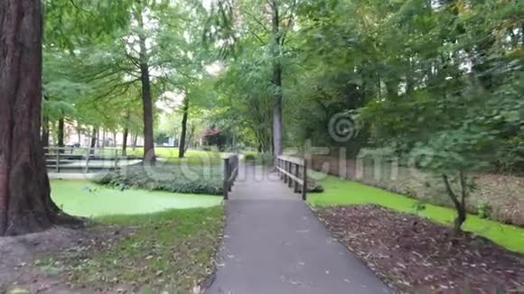 荷兰Zwijndrecht市公园绿色小湖的彩色鸟瞰图视频的预览图