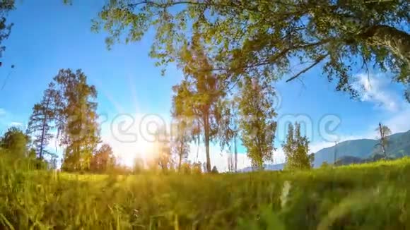 山地草甸时间夏季或秋季时推移野的自然和田园电动滑块小车运动视频的预览图