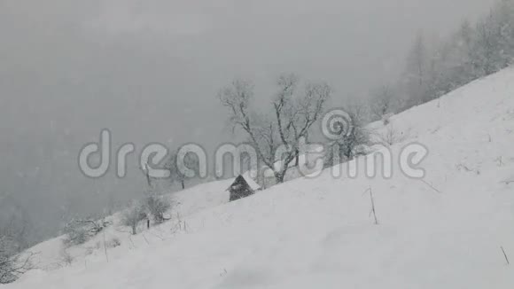在山上下雪视频的预览图