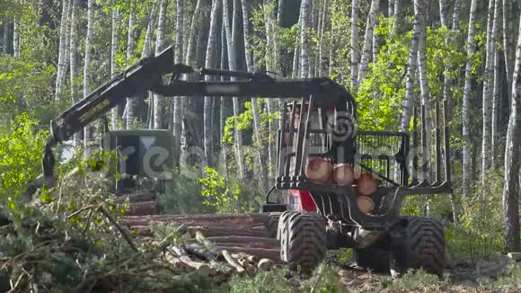 木材装载伐木带爪木材装载视频的预览图