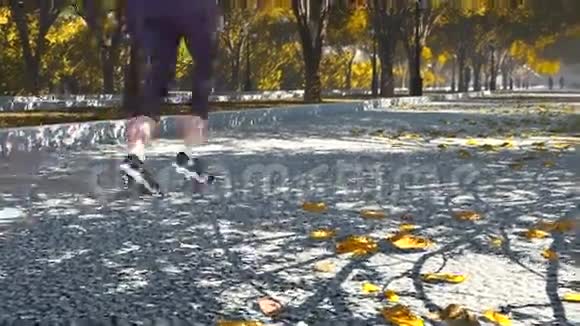 年轻女子在秋天公园慢跑视频的预览图