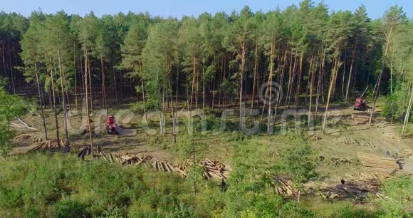 砍伐森林红林收割机视频的预览图