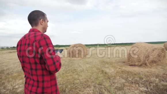 智慧农业理念一个农夫在一个数字平板电脑上的生活方式领域里研究干草堆慢动作视频的预览图