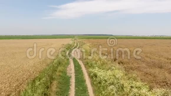 从无人驾驶飞机上看到的田野和乡间小路视频的预览图