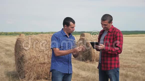 农业智慧养殖理念两名农民工人在数字平板电脑上的田野上研究干草堆慢动作视频的预览图