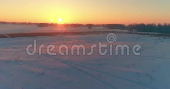 无人驾驶飞机观看寒冷的冬季景观北极的田野覆盖着霜雪的树木和清晨的阳光视频的预览图