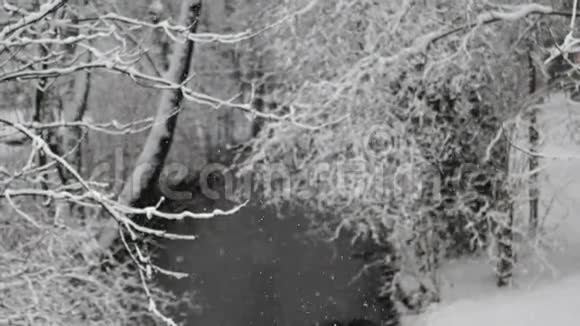 冬天冰雪覆盖的河流视频的预览图