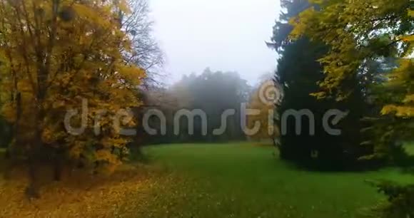 空中公园秋天视频的预览图