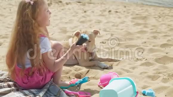 女孩吃冰淇淋在户外喂狗视频的预览图