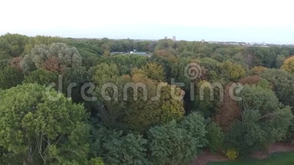 荷兰Zwijndrecht市公园秋树用无人机进行空中射击视频的预览图