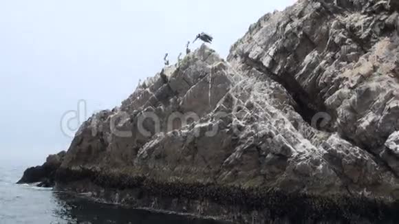 贝莱斯塔斯群岛皮斯科秘鲁视频的预览图