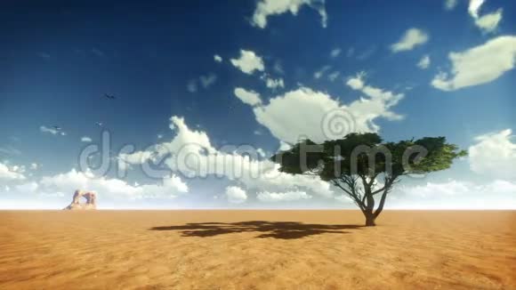 沙漠树木和飞鸟与永恒的云视频的预览图