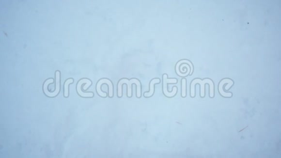 冬天一个男孩的近照视频的预览图