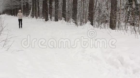 冬天在树林里跑步视频的预览图