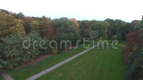 荷兰Zwijndrecht市公园秋树用无人机进行空中射击视频的预览图