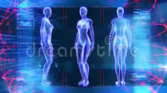 人类女性解剖三维动画生物科学技术视频的预览图