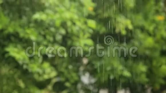 雨落在热带地区视频的预览图
