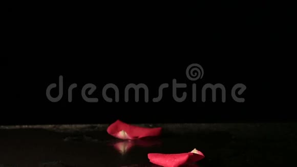 玫瑰花瓣落入水中慢动作视频的预览图