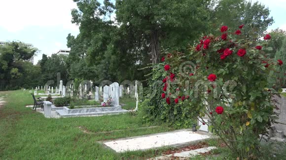 瓦尔纳古墓园保加利亚4K视频的预览图