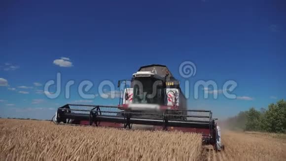 联合收割机收割小麦慢动作视频收获农业概念结合生活方式领域的收获视频的预览图