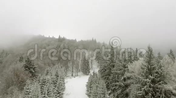 云中的冬林视频的预览图