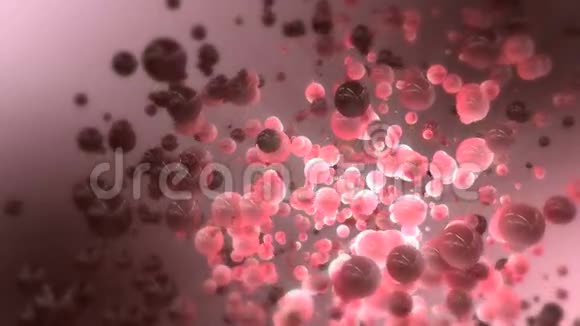 粒子粉红色背景视频的预览图