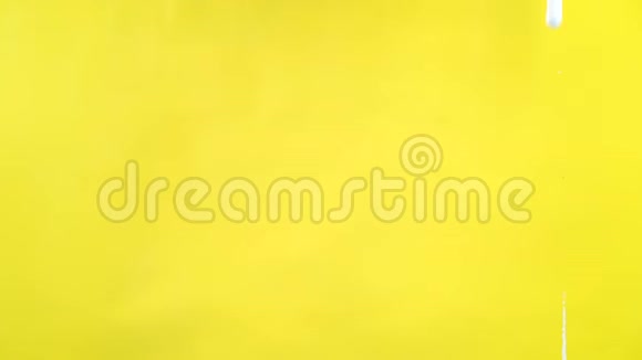 在4K的黄色背景上流动白色油漆视频的预览图