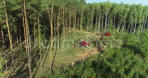 现代伐木机毁林工作流程视频的预览图