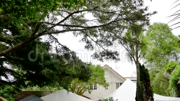 葡萄园的花园婚礼场地视频的预览图