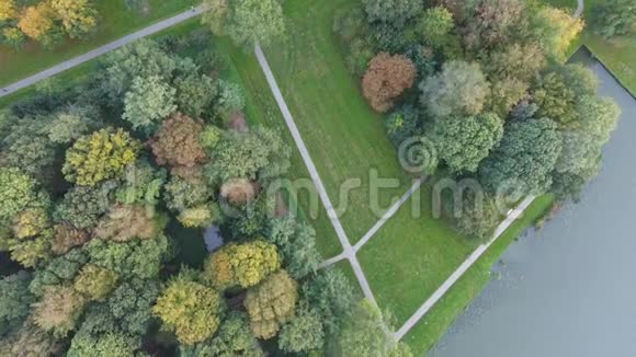 荷兰Zwijndrecht市公园的秋树无人机空中射击视频的预览图
