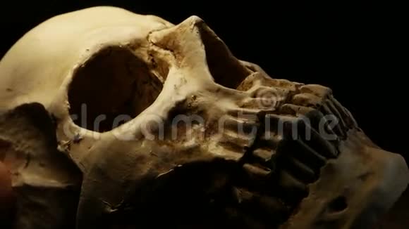 人类头骨分析视频的预览图
